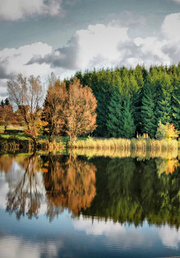 The green forest reflecting on a lake - Interesting Facts about Lithuania.