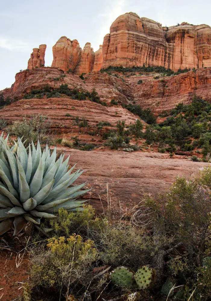 The stunning red cliffs you will see on your Sedona weekend getaway.
