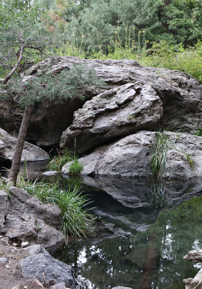 The green natural San Antonio Hot Springs, one of The Best Hot Springs Near Santa Fe, NM.