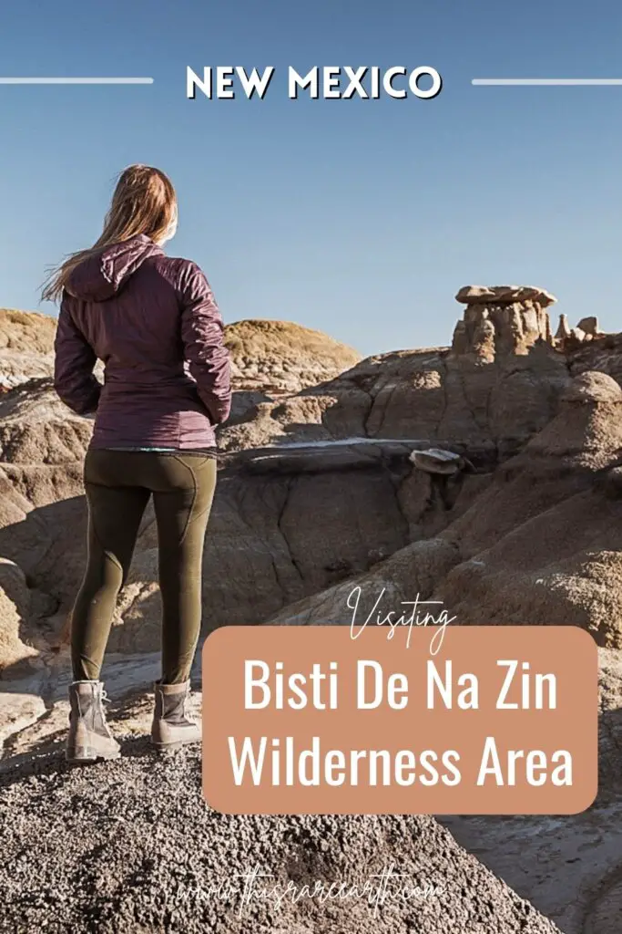 All About the Bisti Badlands / De Na Zin Wilderness Pinterest pin.
