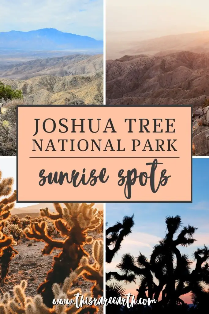 The Best Spots for a Joshua Tree Sunrise Pinterest pin.