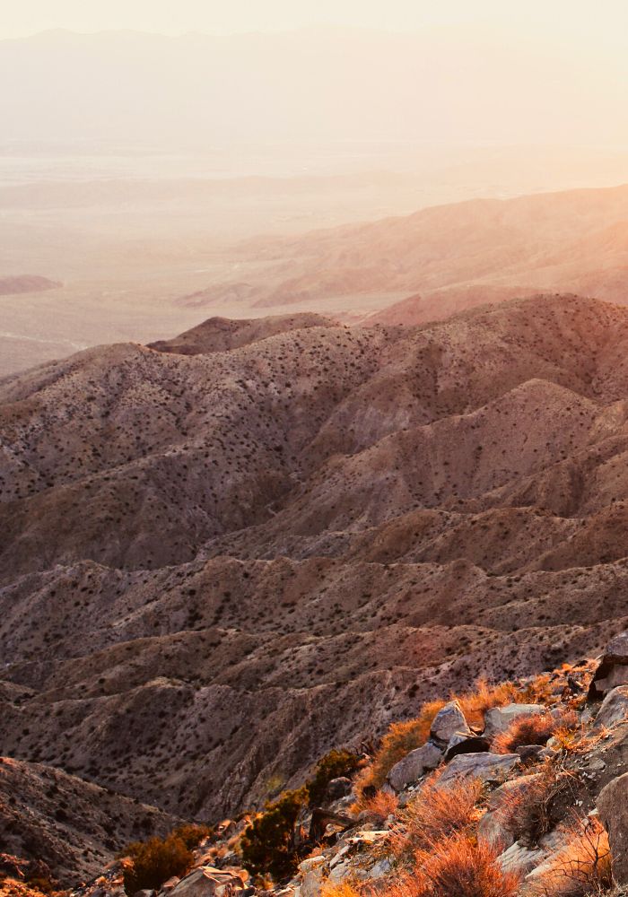 A Keys View sunrise in Joshua Tree NP.