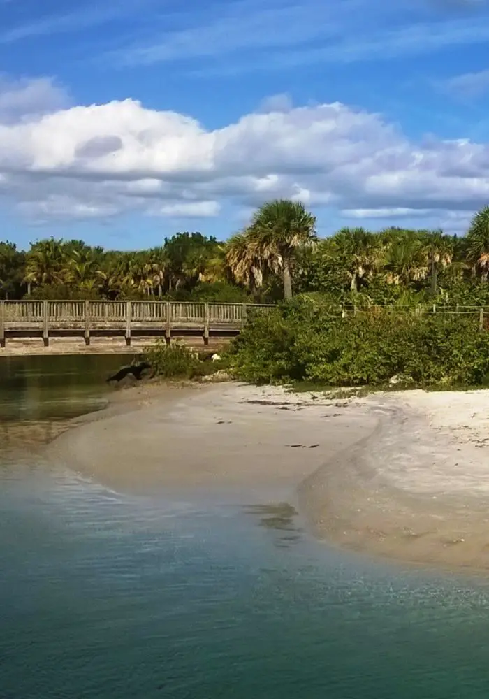 Sandy shores and lush green plants seen when Visiting Peanut Island, Florida.