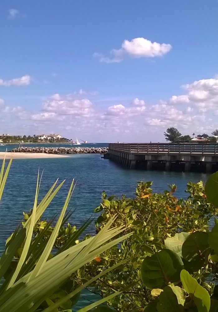 Ocean and plant life seen while Visiting Peanut Island, Florida.