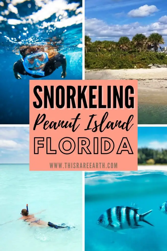 How to Snorkel Peanut Island, Florida Pinterest pin.