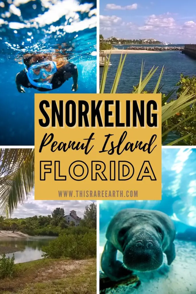 Snorkeling Peanut Island Florida Pinterest pin.