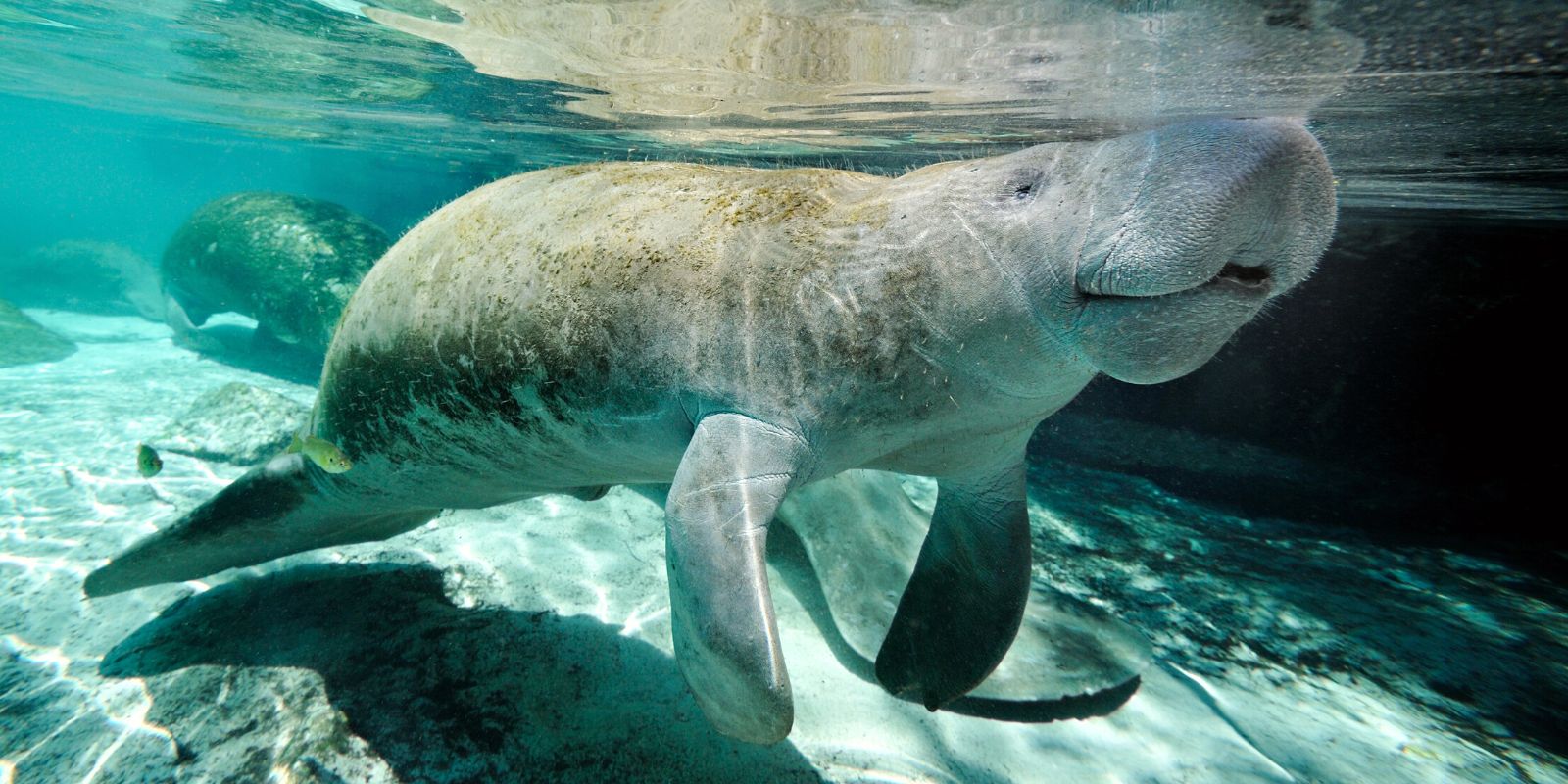 A Complete Guide to Visiting Peanut Island, Florida This Rare Earth