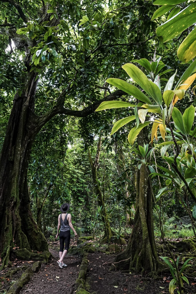 Monica hiking the Three Pines Pass, one of the best free Things To Do in Moorea, French Polynesia.