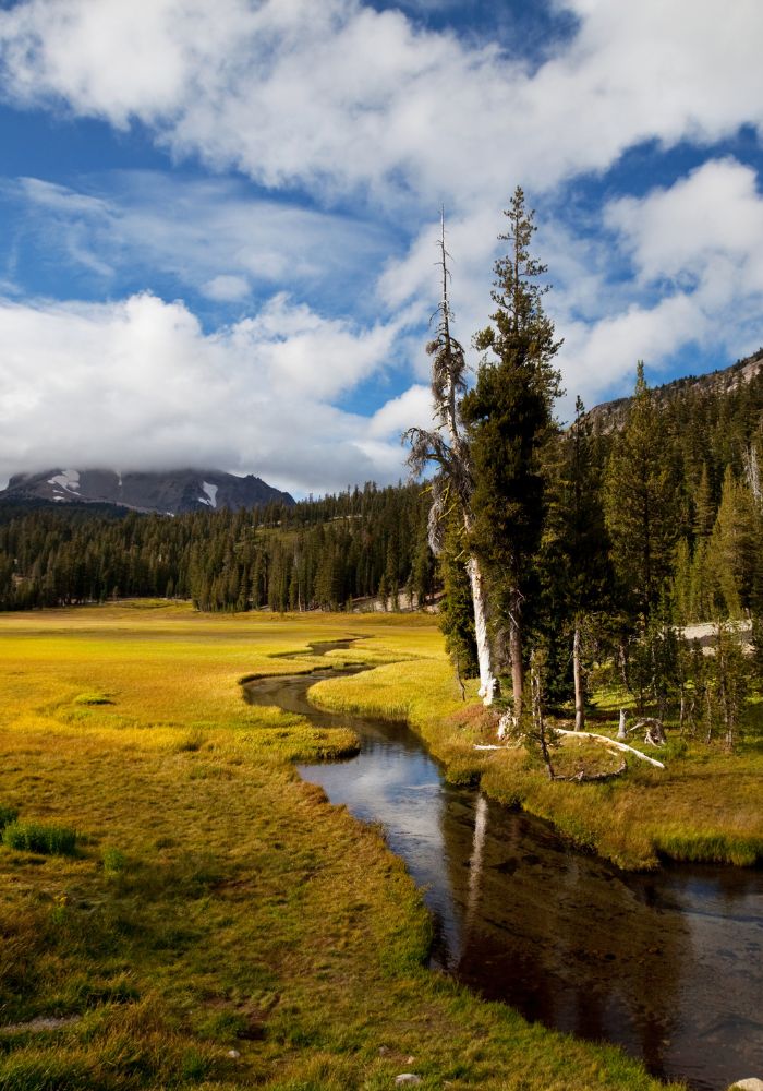 Lassen Volcanic National Park's streams and forest.