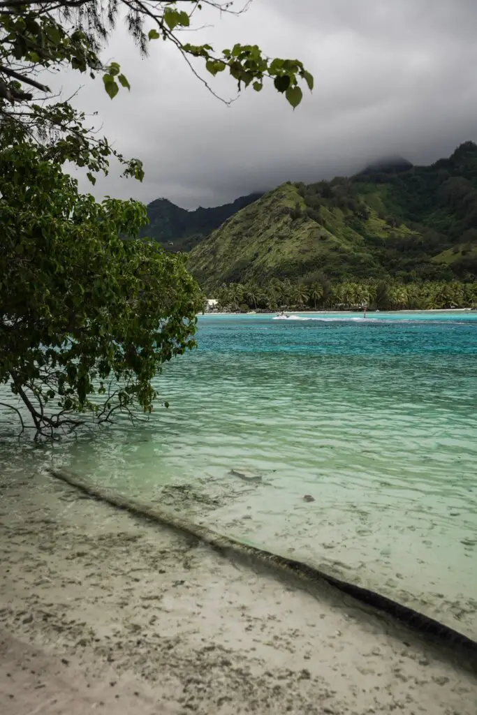The beautiful view of the mountains from Coco Beach Moorea.