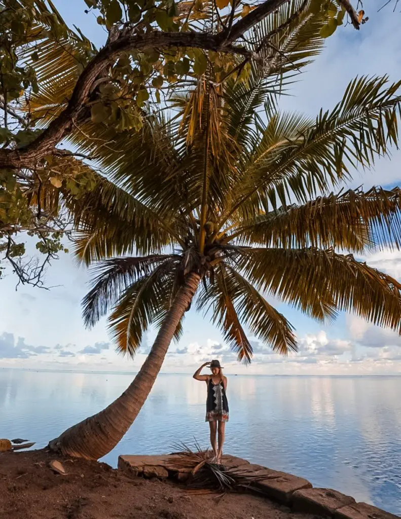 Monica under a Palm Tree in French Polynesia, the country of Tahiti.