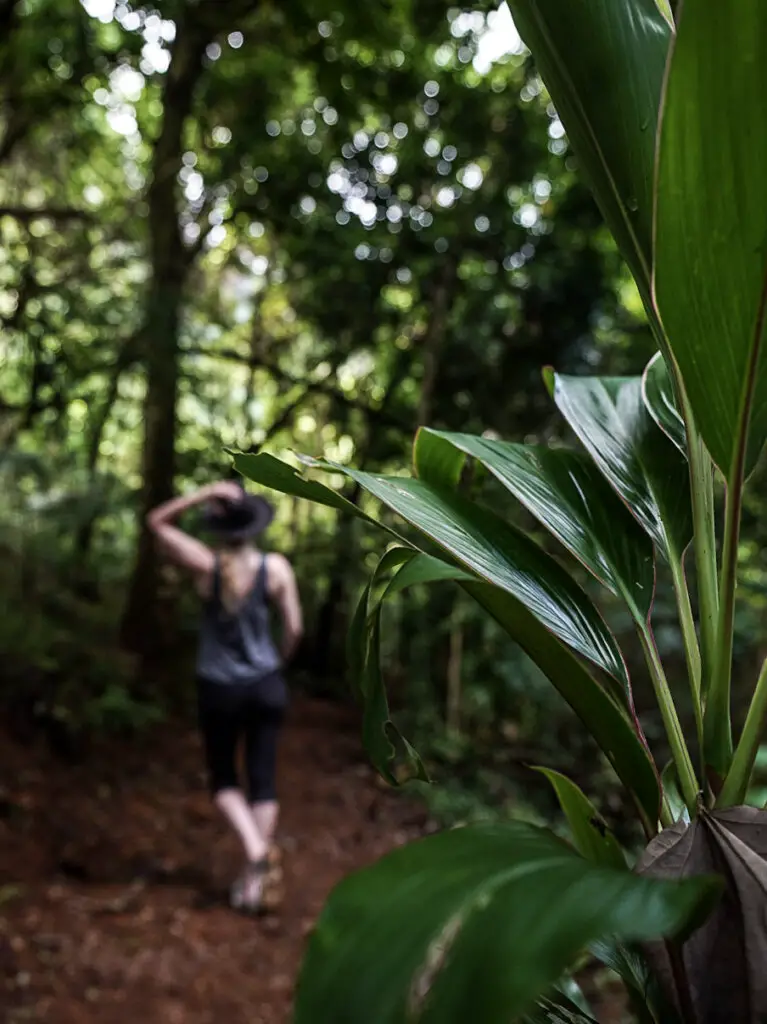 Monica hiking the Three Coconuts Trail, one of Things To Do in Moorea, French Polynesia.