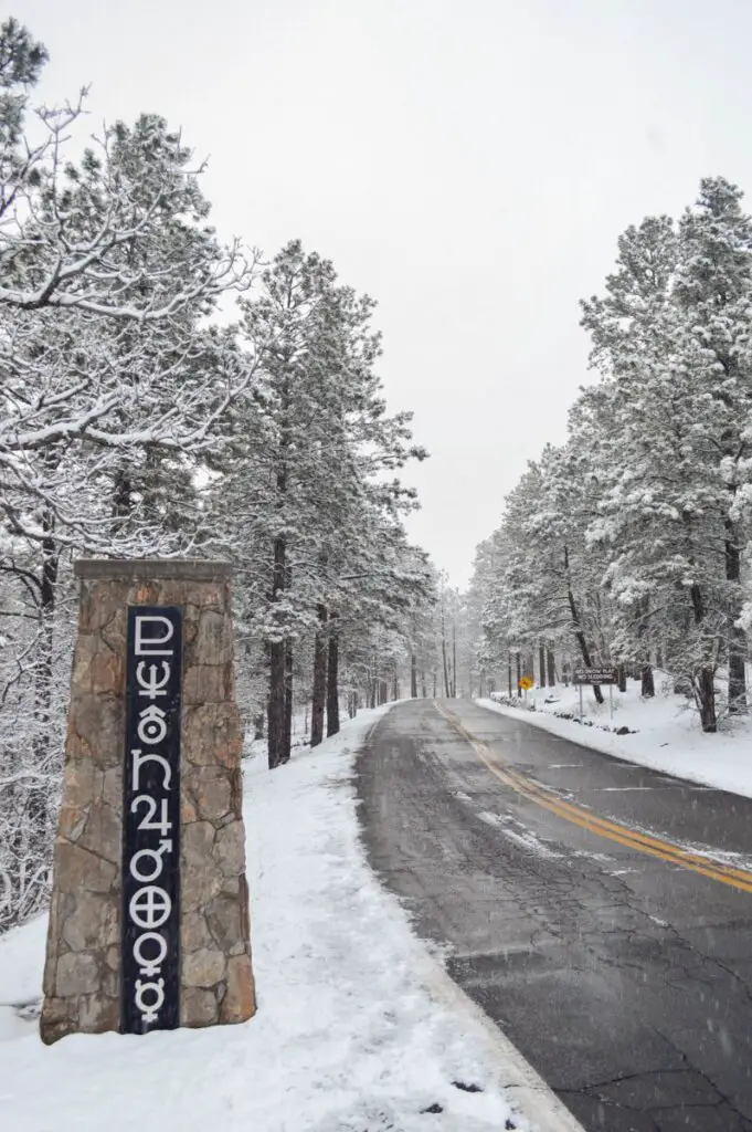 Snow-covered trees in Flagstaff, one of the best Arizona Bucket List Things To Do.