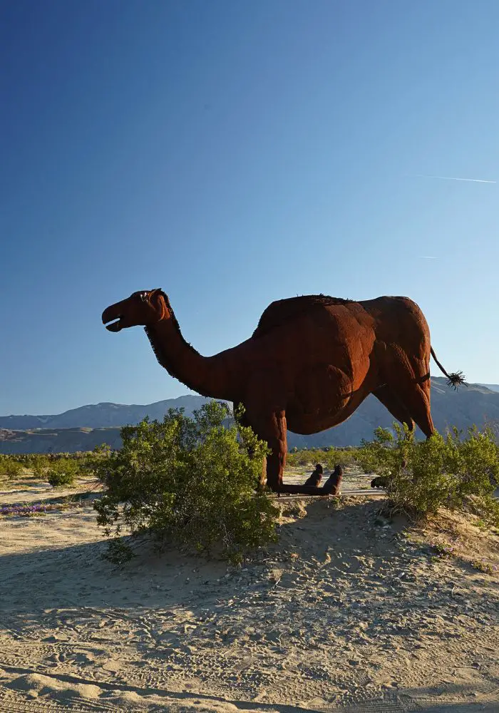 The camel Borrego Springs Sculpture at Galleta Meadows.
