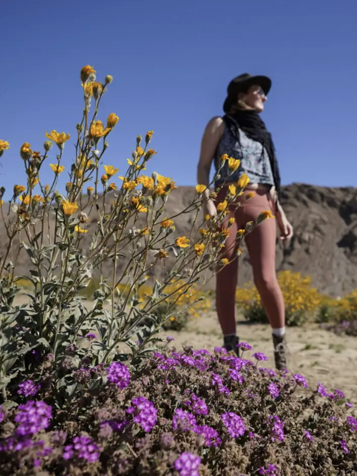 Monica in Borrego Springs, near the metal sculptures, with colorful wildflowers.