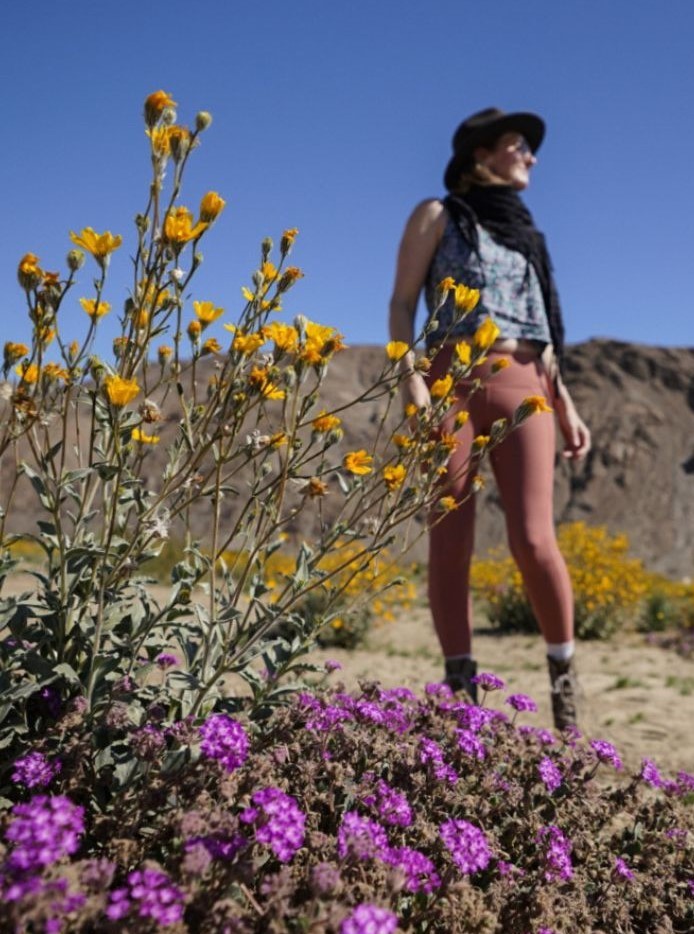 Monica in the Anza Borrego Desert State Park California superbloom.