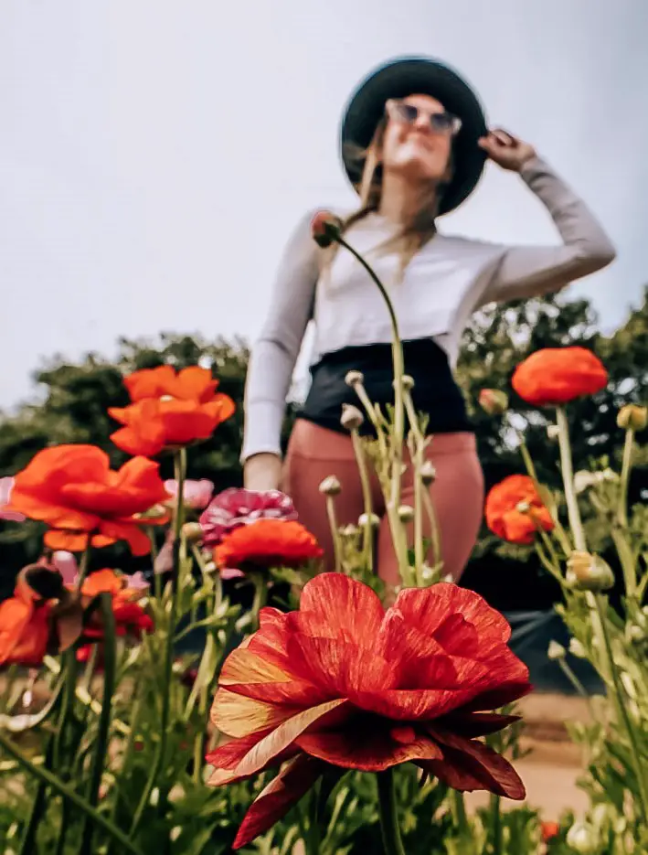 Monica int he Carlsbad Flower Fields superbloom in California.