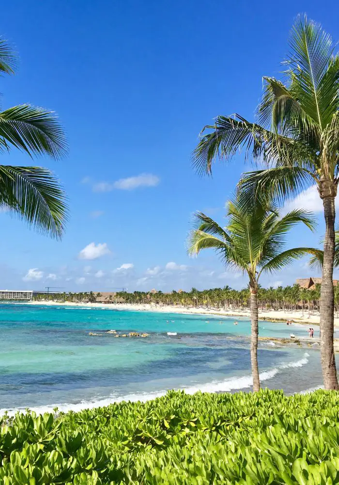 The lush beaches you could see when visiting Cancun.