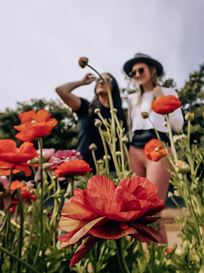 Monica and Dana with the bright red blooms in the Carlsbad Flower Fields.