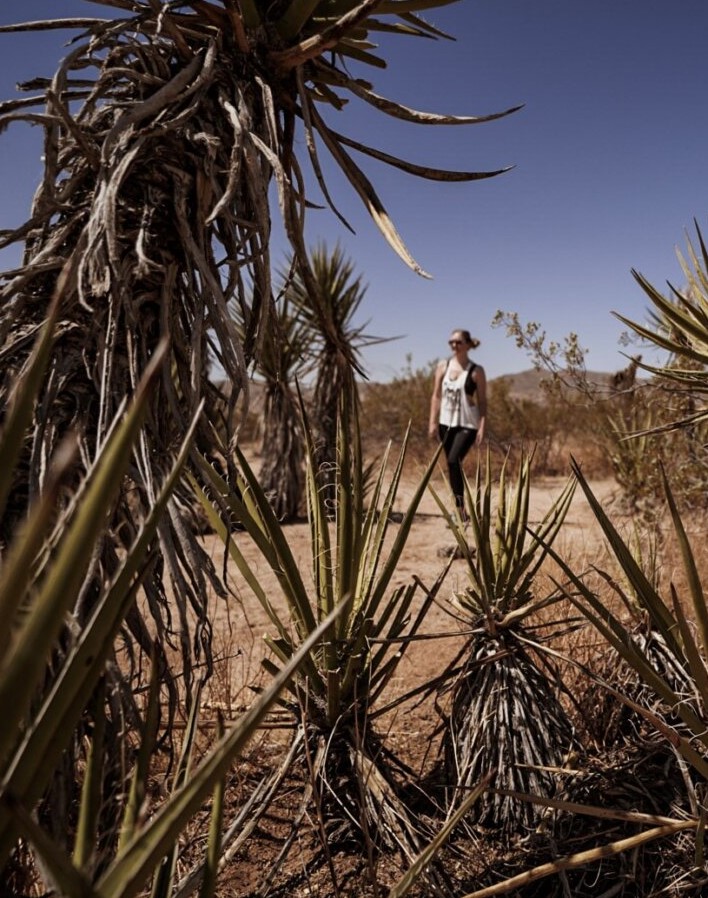 Monica exploring the Joahua Tree desert.