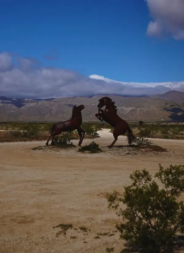 The large horse sculptures, one of Things To Do in Borrego Springs, California.