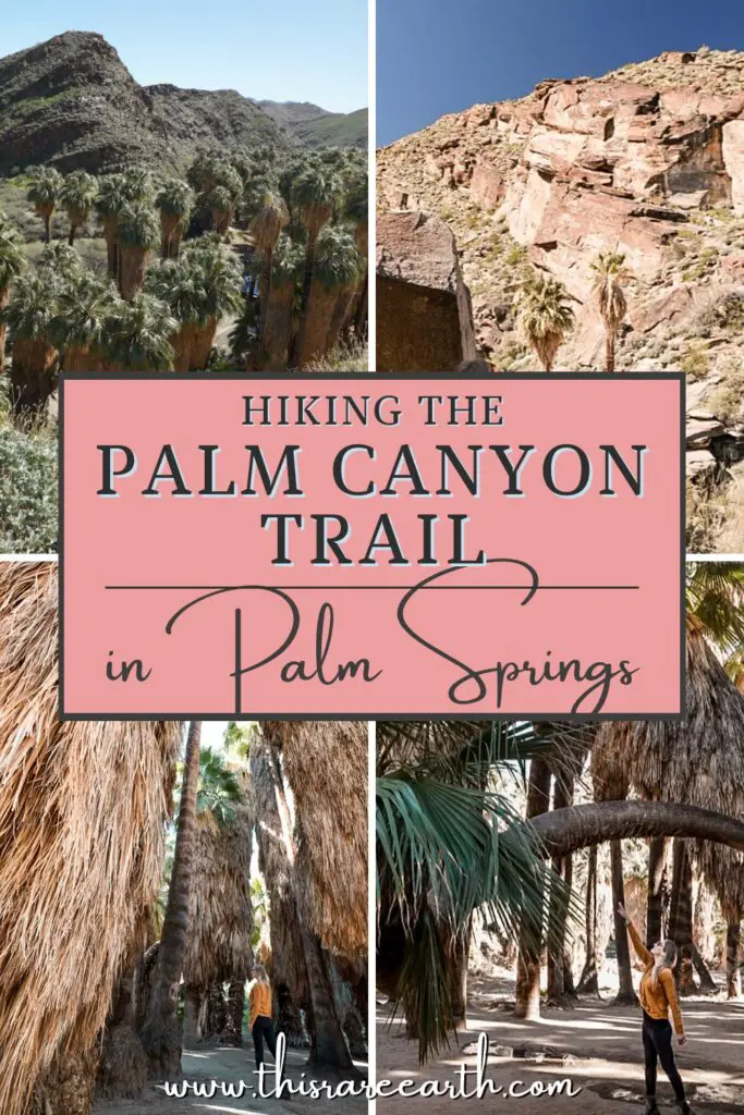 Hiking Palm Canyon Trail in Palm Springs Pinterest pin.