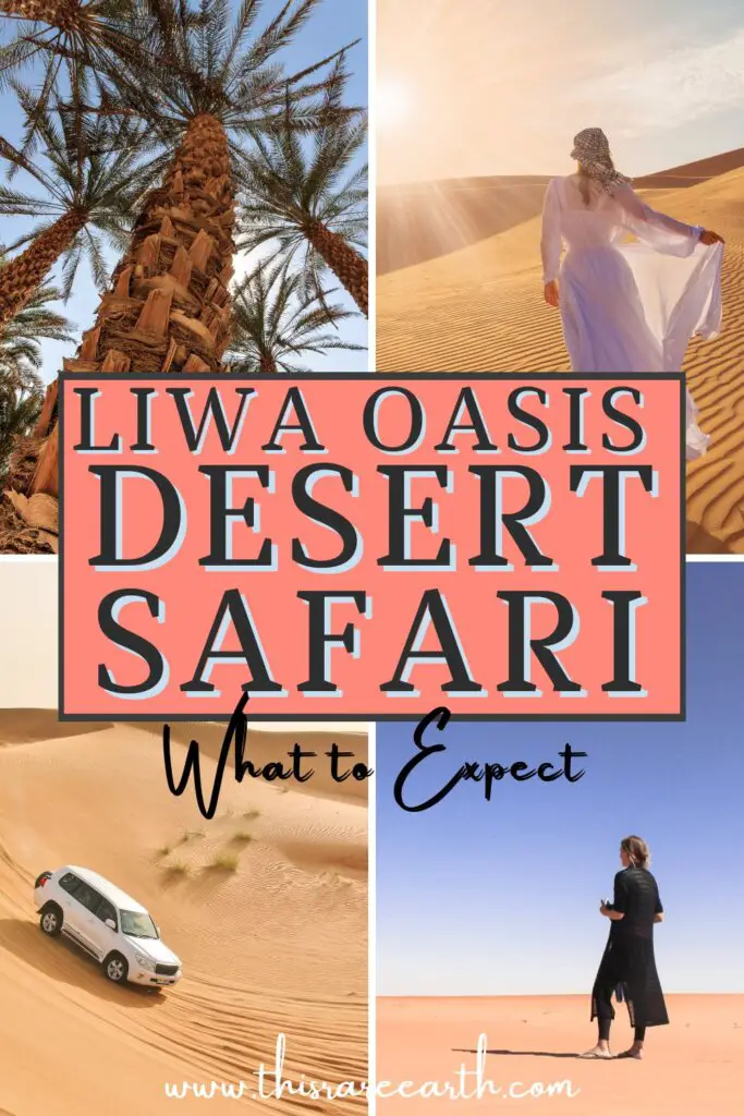 A Liwa Oasis Desert Safari Pinterest pin.