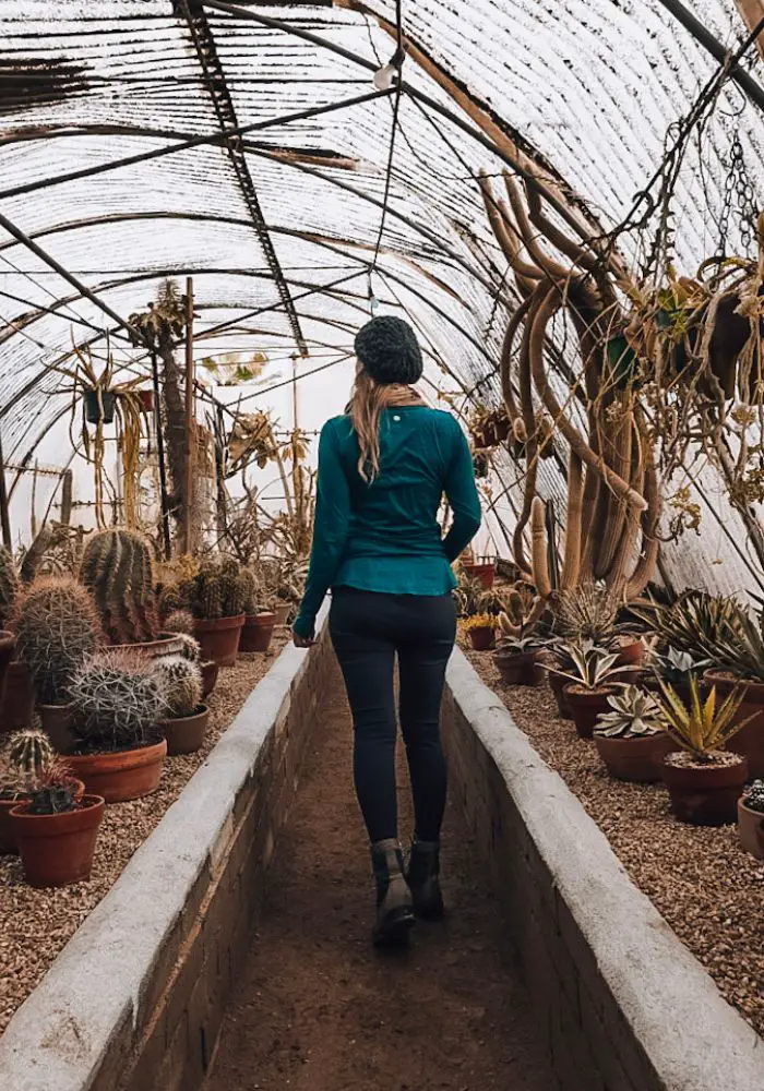 Monica walking in the cactarium at the Moorten Botanical Garden and Cactarium in Palm Springs.