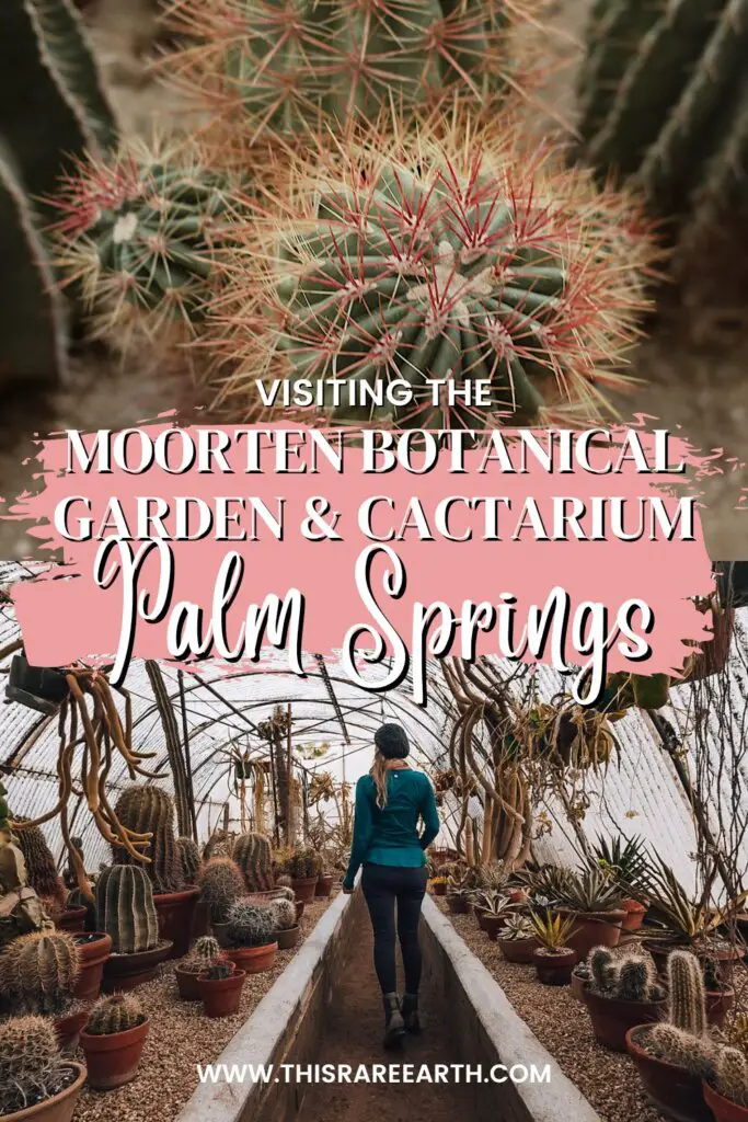 Moorten Botanical Garden and Cactarium in Palm Springs Pinterest pin.