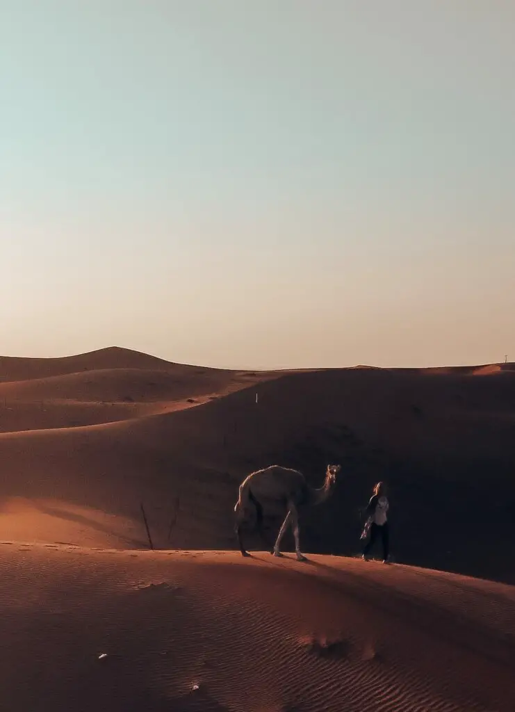 Monica walking in the desert wtih a camel.