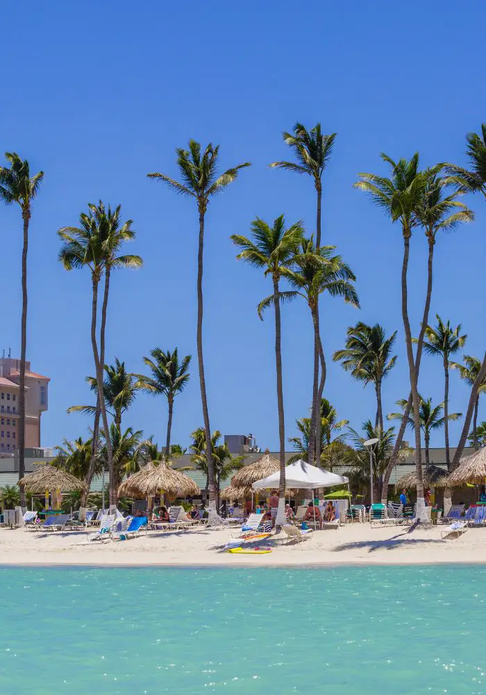 The palm tree covered shore of Palm Beach, Aruba, with tiki huts and sun shades covering people's lounge chairs.