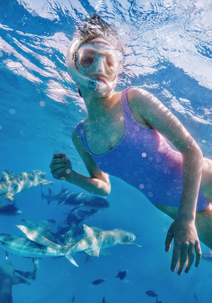 A girls snorkeling, close to several reef sharks, which are common in Aruba.