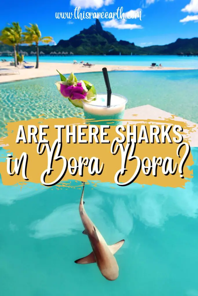 Are there Sharks in Bora Bora Pinterest pin.