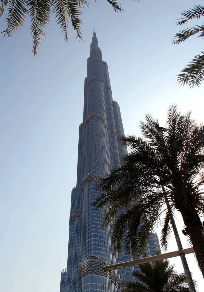 The famous Burj Khalifa behind a palm tree - Can You Buy Alcohol in Dubai? 