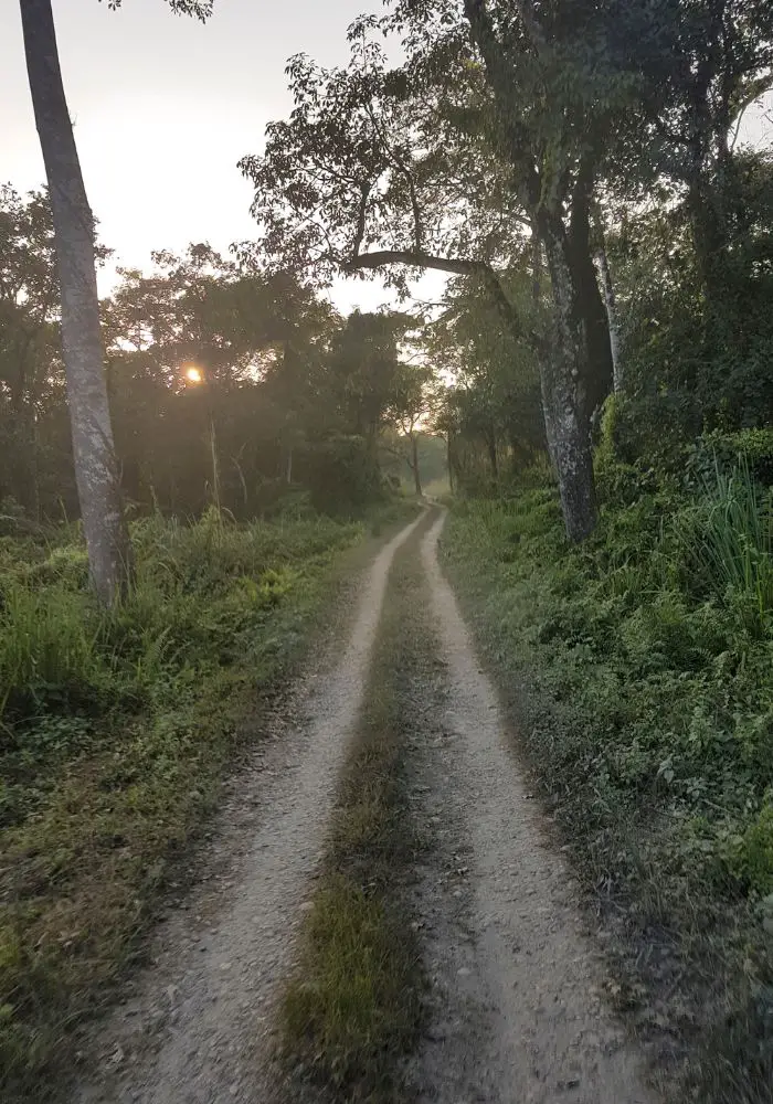 The driving path for a Chitwan jungle safari.