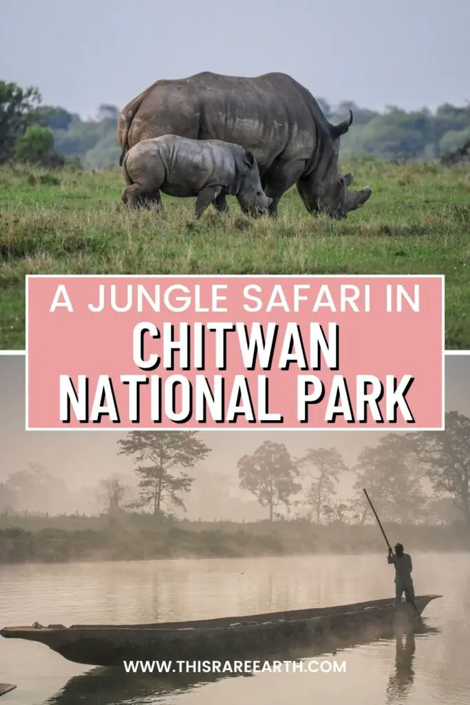 A Chitwan Jungle Safari Travel Guide & Review Pinterest pin.