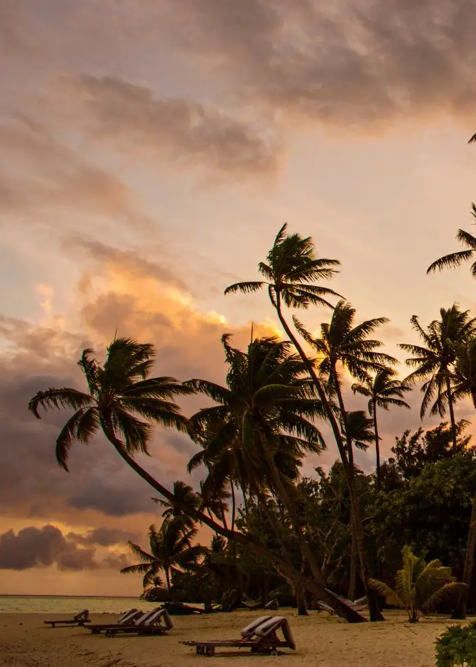 The pink skies behind palm trees in French Polynesia, Tahiti's country name.