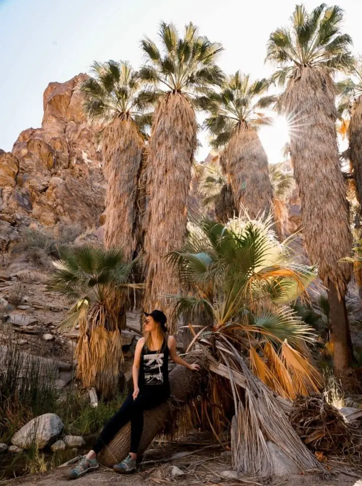 Monica in black clothes hiking near tall palm trees in Indian Canyons, one of the best day trips from Palm Springs.