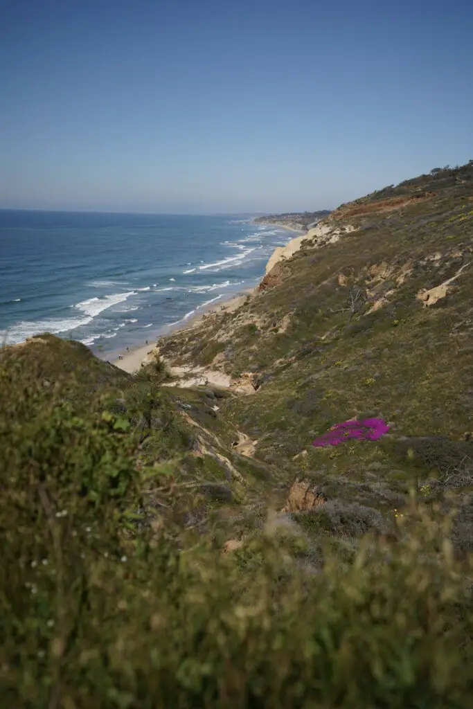 The grassy hills and view of Torrey Pines State Beach, one of the closest beaches to Phoenix.