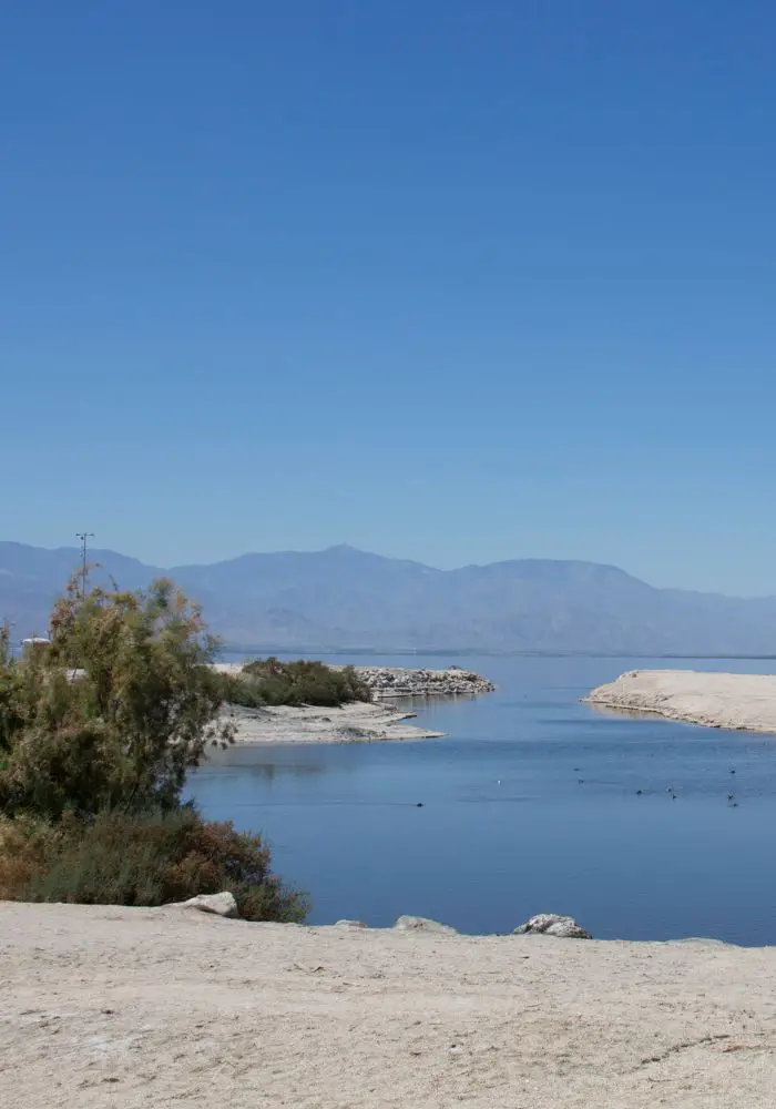 A calm bank of the Salton Sea, one of the best weekend trips from San Diego.