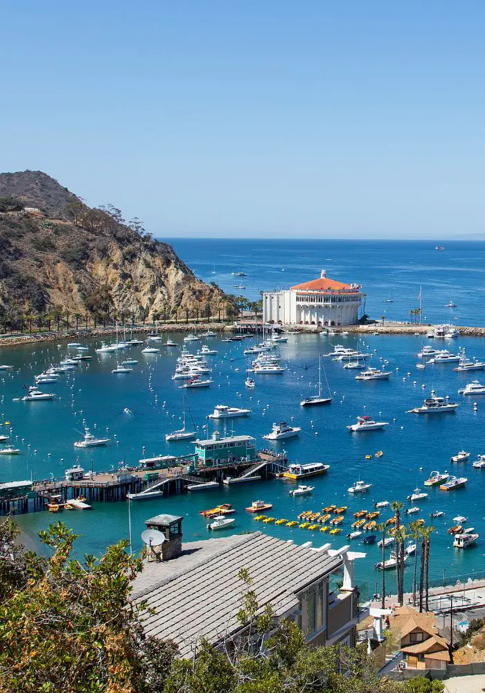 A harbor filled with boats and kayaks at Catalina Island, one of the best weekend trips from San Diego.
