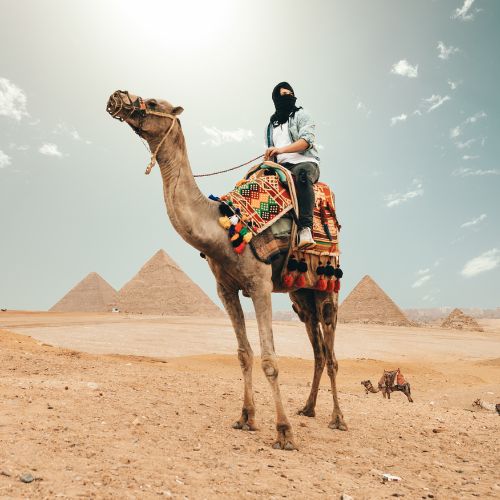A tourist on top of a camel near the pyramids.