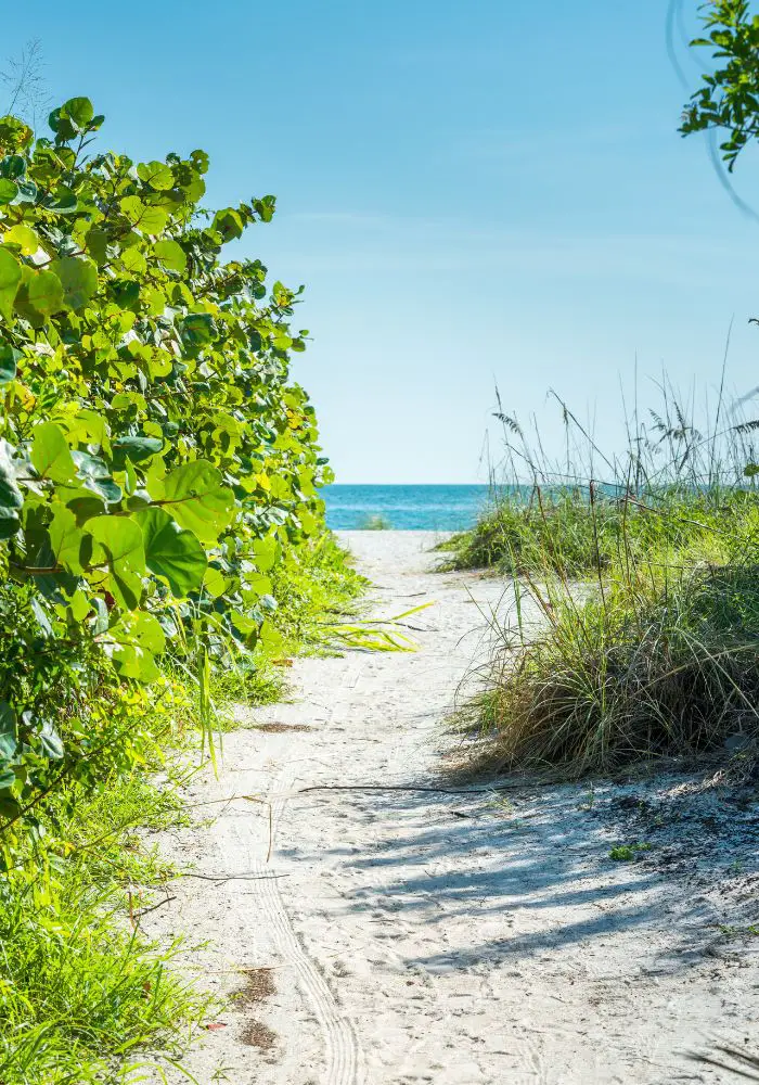 A sandy path leading to the ocean near Key West, one of the best islands close to Florida.