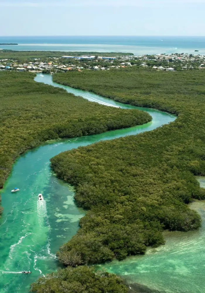 Mangrove covered islands near Florida.