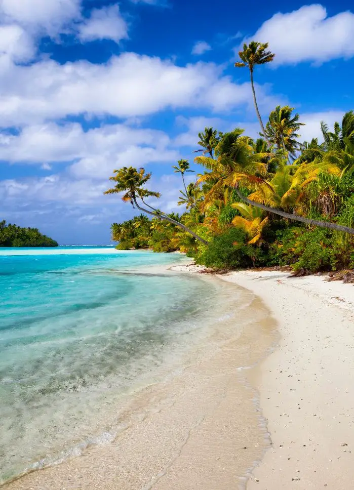 The white sand, blue water, and green palm trees that you'll see after flying from Rarotonga to Aitutaki on a Day Trip.