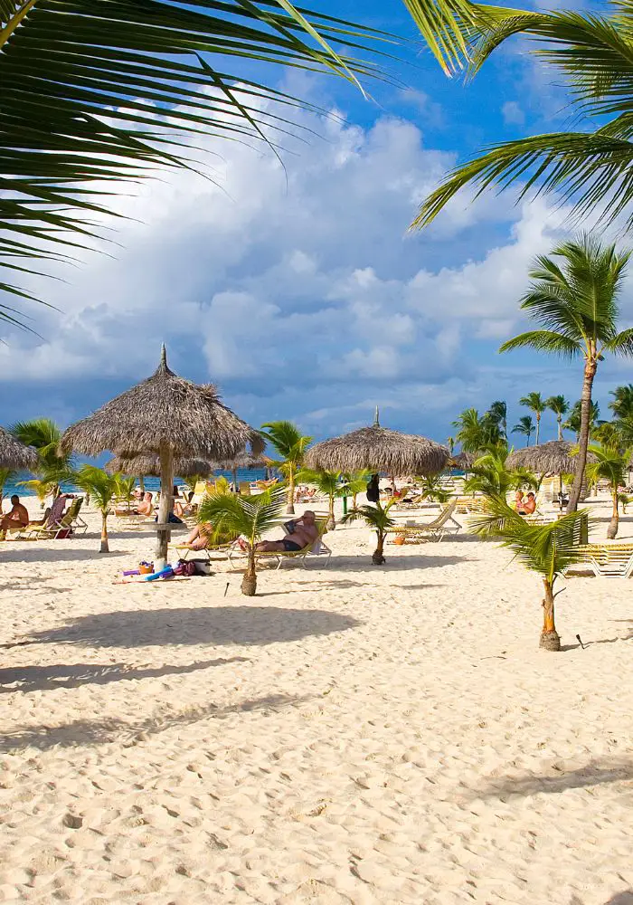 The large sandy and palm tree covered area of Eagle Beach, one of the best beaches in Aruba.
