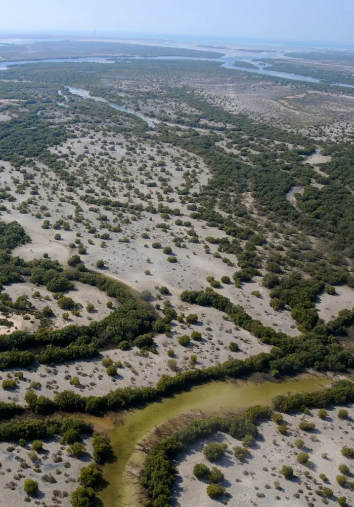 An aerial view of the mangroves, one of the top sights to see when Visiting Abu Dhabi as a Woman.