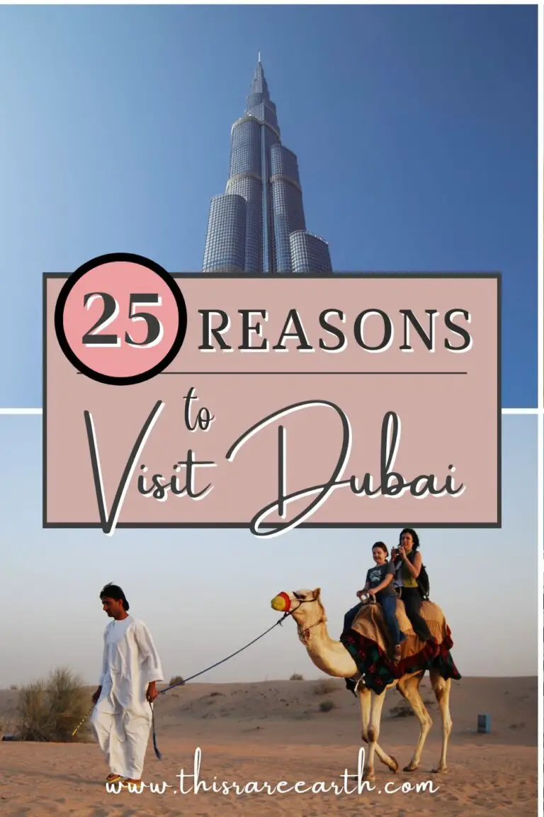 25 Reasons to Visit Dubai - Why It Should Be on Your Radar - This Rare