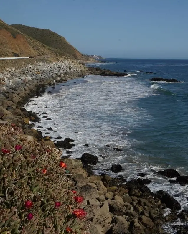 The deep blue of the Pacific Ocean and red flowers on the coast, as seen on a day trip to Malibu.