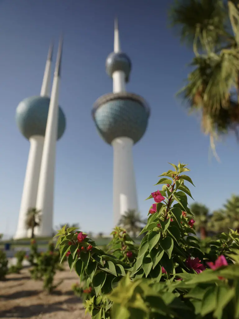 Green plants and pink flowers in front of the Kuwait Towers.